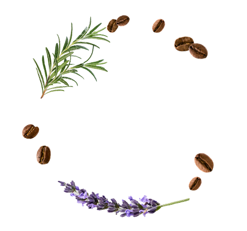 ingredients-animation-business-2
