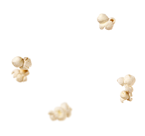 ingredients-animation-business-3